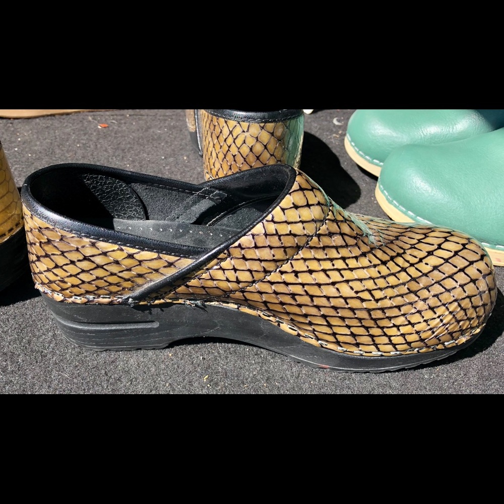 Dansko/Sanita clogs
